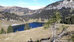 20201102_120251.jpg