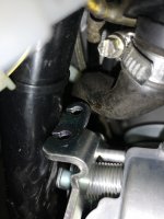 IMG_20201112_132047.jpg